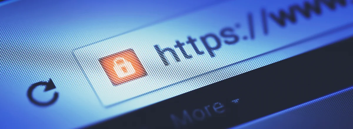 这个网站安全吗？您的完全网站安全检查指南 头图
